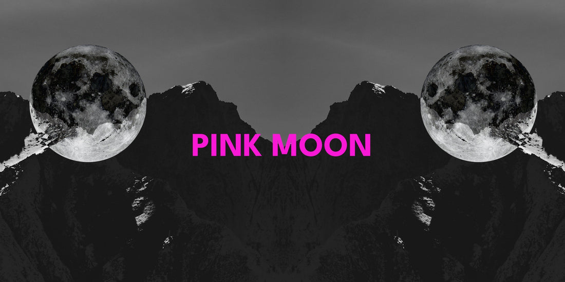 Pink Moon April 2026 – Vollmond Mondphase Illustration von Lunar Circles